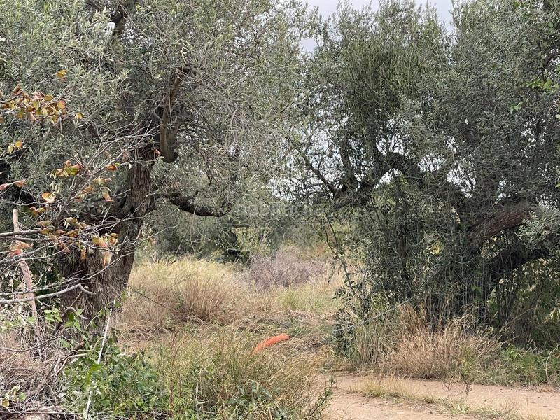 Foto 2fb80313-7b1f-490d-b74d-f06f15067312. Rural plot in Vilafortuny Platja Cambrils