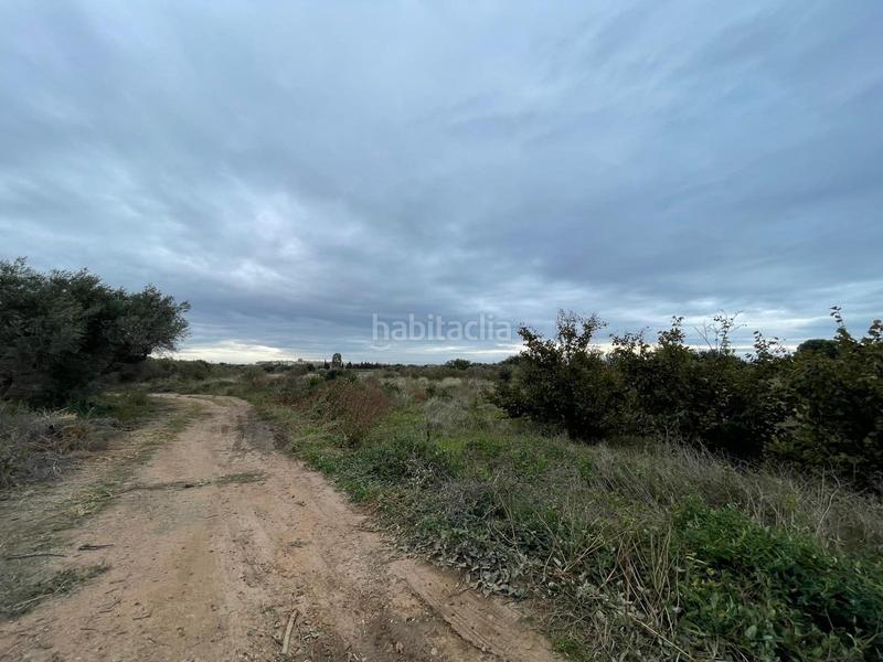 Foto 37eb1255-3170-4e55-8946-b94ebbb64e1f. Rural plot in Vilafortuny Platja Cambrils