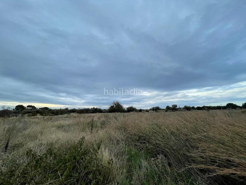 Foto 5187c6c2-efd3-48d4-8c9f-766e81d49493. Rural plot in Vilafortuny Platja Cambrils