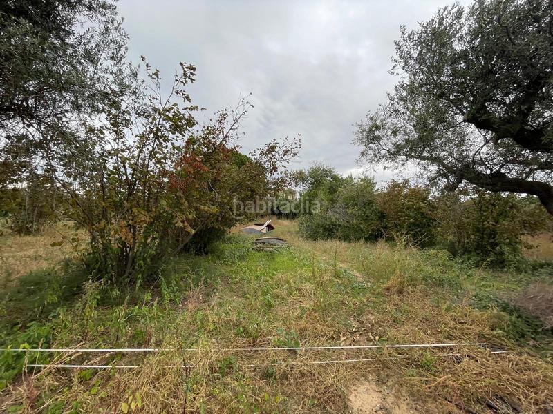 Foto 96204e1e-fff5-43b3-a960-eb9c8232ac58. Rural plot in Vilafortuny Platja Cambrils