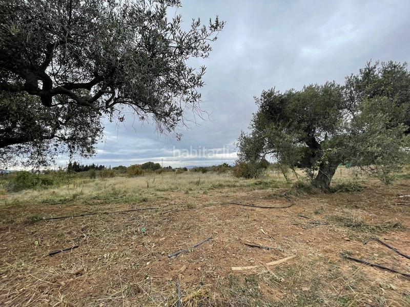 Foto b8649f99-e6b8-4324-9b03-d7f0919a93e0. Rural plot in Vilafortuny Platja Cambrils