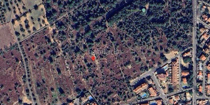 Foto bf16a148-4b44-431e-87e0-ca7b059b159f. Finca rústica a Centre Torredembarra