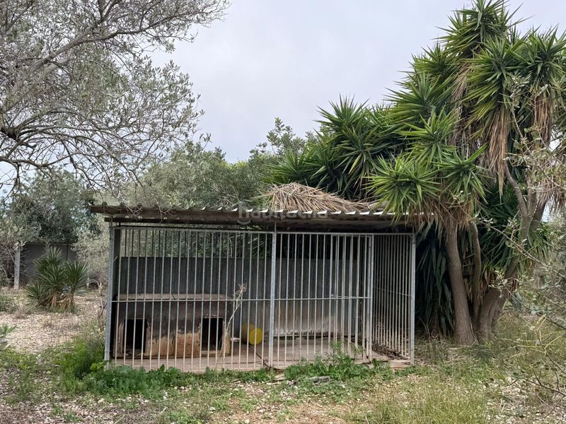 Foto aecdb58b-2fb2-48ed-9cea-2902aa7c6285. Masia amb aparcament a Camarles