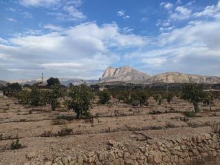 Semi detached house in El Secanet-Hacienda del Sol