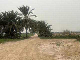 Terreny residencial a Crevillente