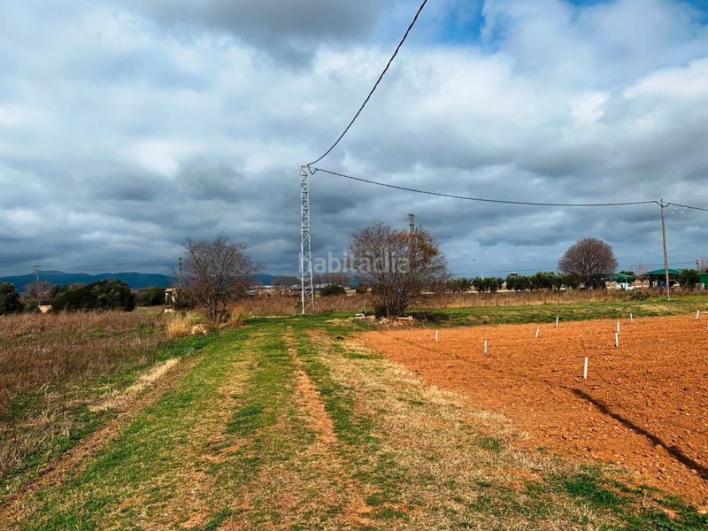 Foto 17b6f9d9-3906-4750-b113-8c8283155684. Finca rústica en vial camino 60 en Llevant Reus