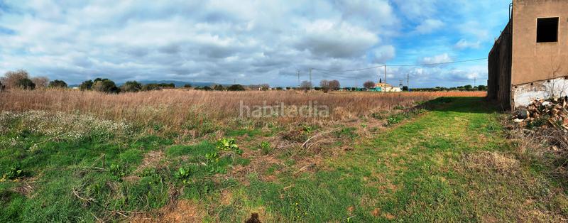 Foto edc9cdbb-ce1a-412a-bb28-bd7fba6311fc. Finca rústica en vial camino 60 en Llevant Reus