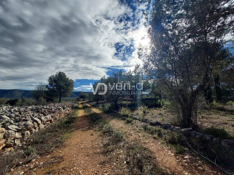 Foto 81d6f257-6289-4298-b01e-14b07e6e1a85. Finca rústica en 21 207 magnificas vistas en Enguera