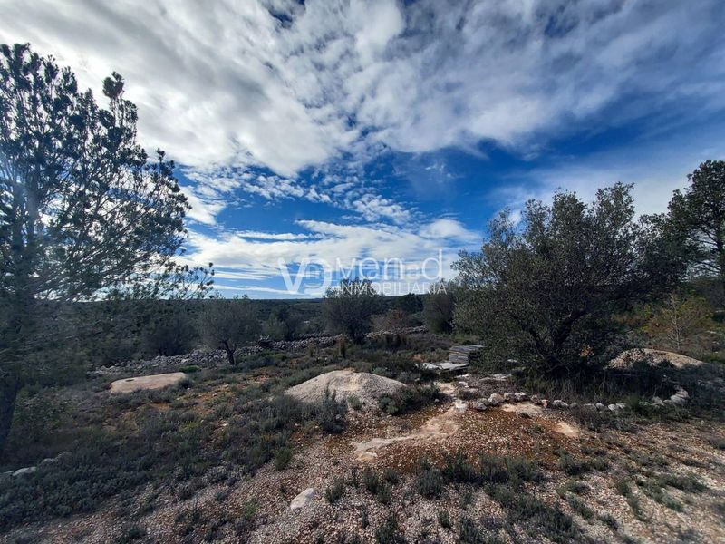 Foto 68df1c3c-5066-43d2-ae2c-0d02ce2e343f. Finca rústica a poligono 21 207 a Enguera