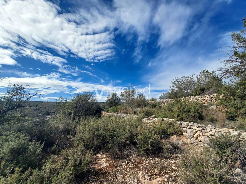 Foto 9c51fc8d-2d71-4e4e-88e4-20ffe03b261a. Finca rústica a poligono 21 207 a Enguera