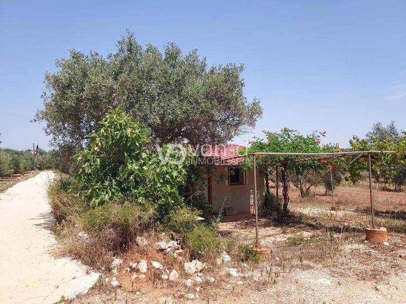 Foto 0dd67931-92c0-423f-9586-41143c845544. Terreny residencial a 6 102 a Enguera