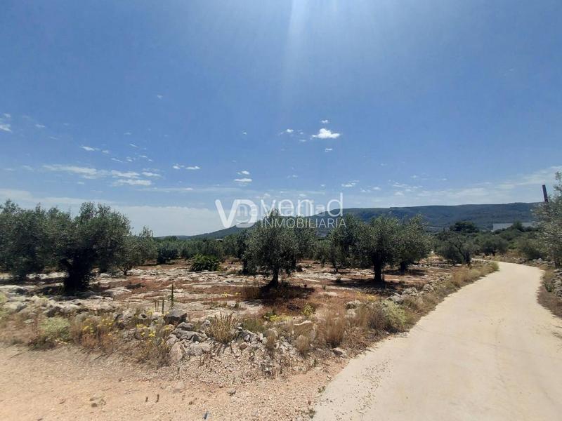 Foto 26899845-ac8f-4e08-aac1-92f86937e2e0. Terreny residencial a 6 102 a Enguera