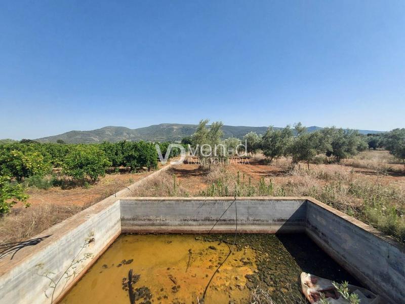 Foto 3a8a4aff-9219-4326-a64a-b58594189c7e. Terreny residencial a 6 102 a Enguera