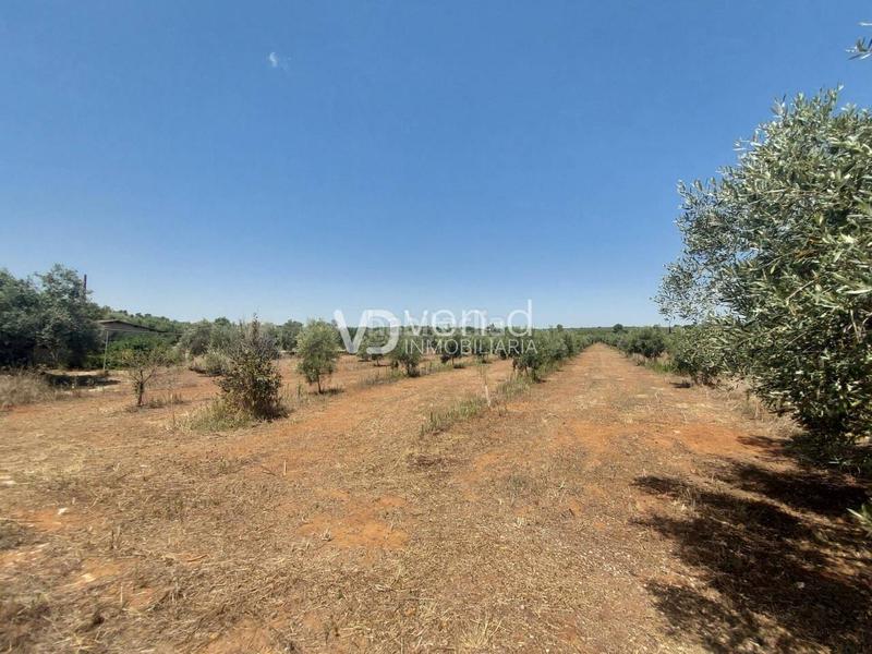 Foto 3df57e33-b998-4cba-abf4-75ef7e52e029. Terreny residencial a 6 102 a Enguera