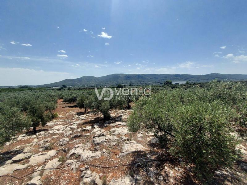 Foto 4b217ee0-0508-4a8c-ae25-f564e8617fe0. Terreny residencial a 6 102 a Enguera