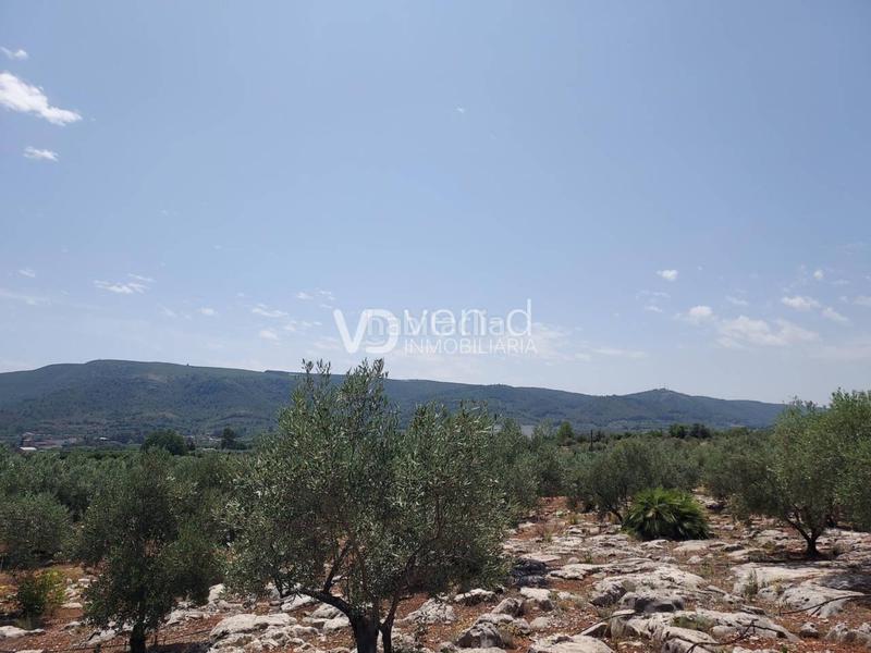 Foto 5ea82401-b0a3-4fbc-a4d6-901a4f5a71d1. Terreny residencial a 6 102 a Enguera