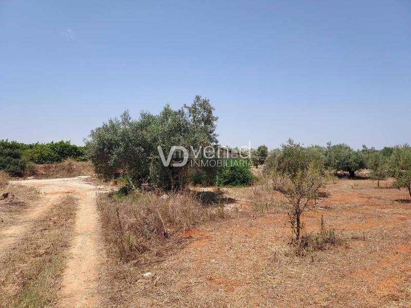 Foto 838d0397-d4f2-426c-99d9-070ae7f79147. Terreny residencial a 6 102 a Enguera