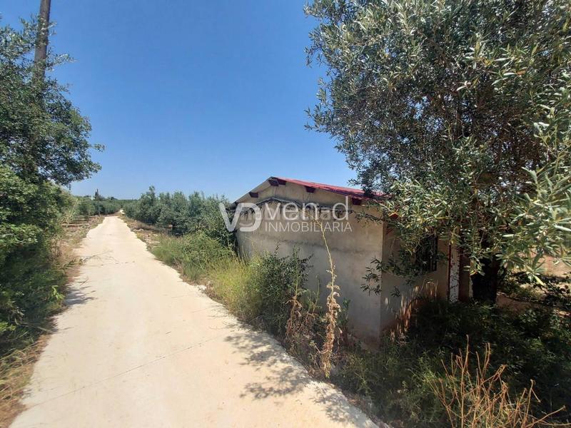 Foto 89a6d169-5703-419f-9f0a-d054a2835706. Terreny residencial a 6 102 a Enguera