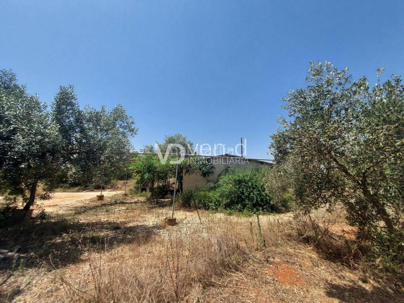 Foto 942f3468-c2c3-4627-84dd-60f0f582d029. Terreny residencial a 6 102 a Enguera