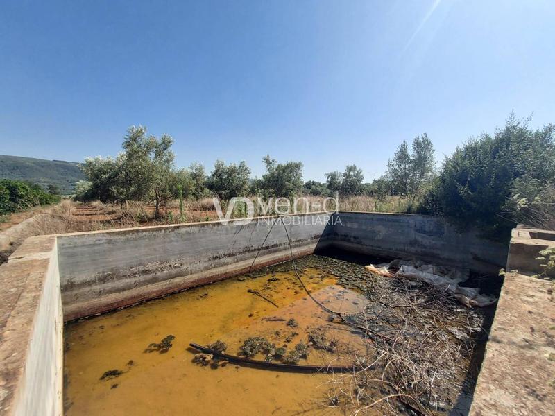 Foto 9be56b4e-b22d-4ff7-b116-688903e17d9a. Terreny residencial a 6 102 a Enguera