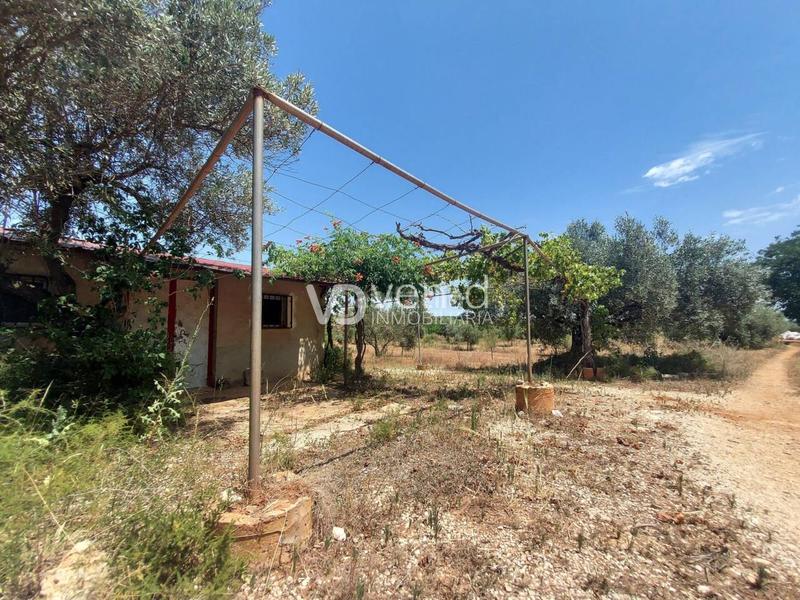 Foto a1c66157-8e0e-4fe5-ba4d-9c6901368cca. Terreny residencial a 6 102 a Enguera