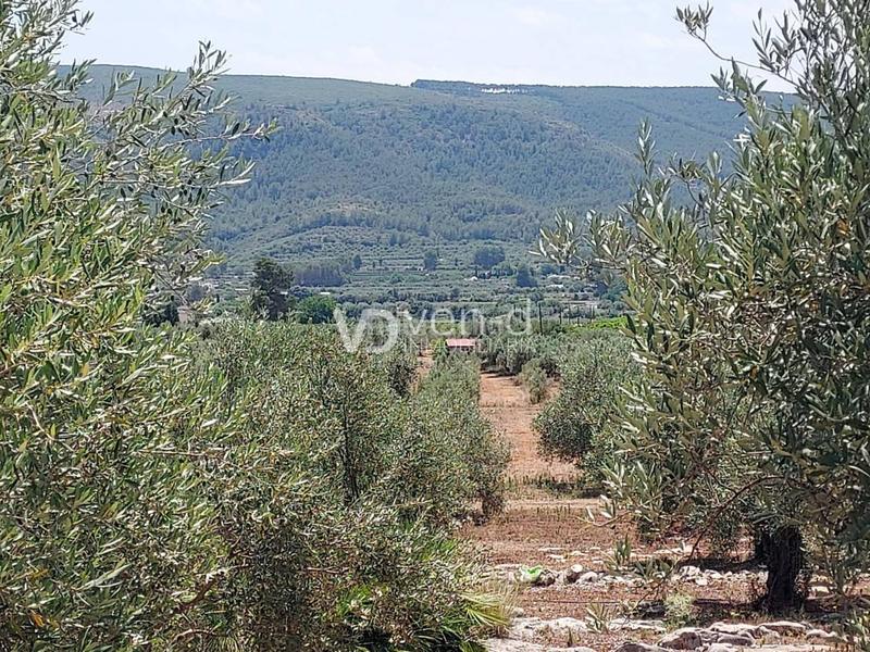 Foto aa0f11e9-57c0-45d8-986d-c373dfeb4849. Terreny residencial a 6 102 a Enguera