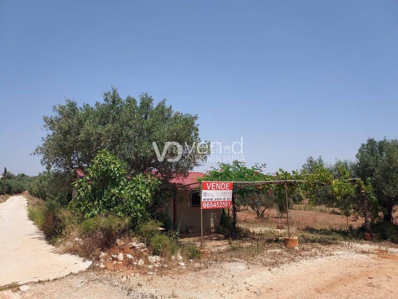 Foto ecdacc14-5b28-4c40-b0ce-370e5f33c279. Terreny residencial a 6 102 a Enguera