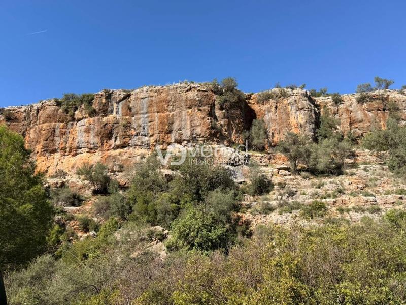 Foto 0b54f500-7ad4-4a75-963d-aff29616d6a5. Finca rústica en 11 4 parcela a 2 km en Enguera