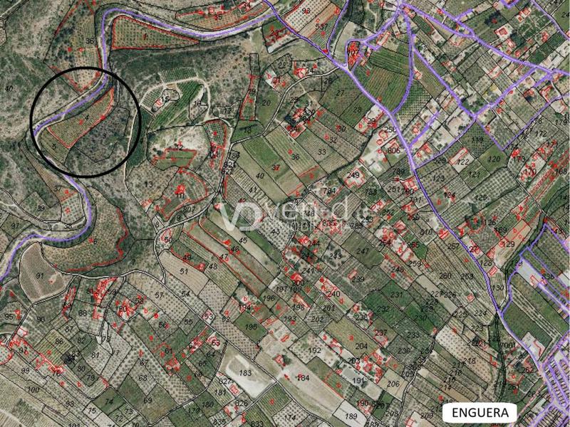 Foto 4b45050e-dcd9-423b-b9f7-5baf88260cf1. Finca rústica en 11 4 parcela a 2 km en Enguera