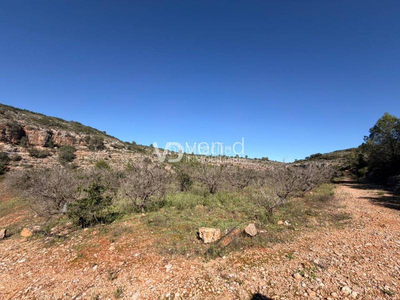 Foto 7408a5f5-71c4-46a7-9271-34f149bfc0a1. Finca rústica en 11 4 parcela a 2 km en Enguera