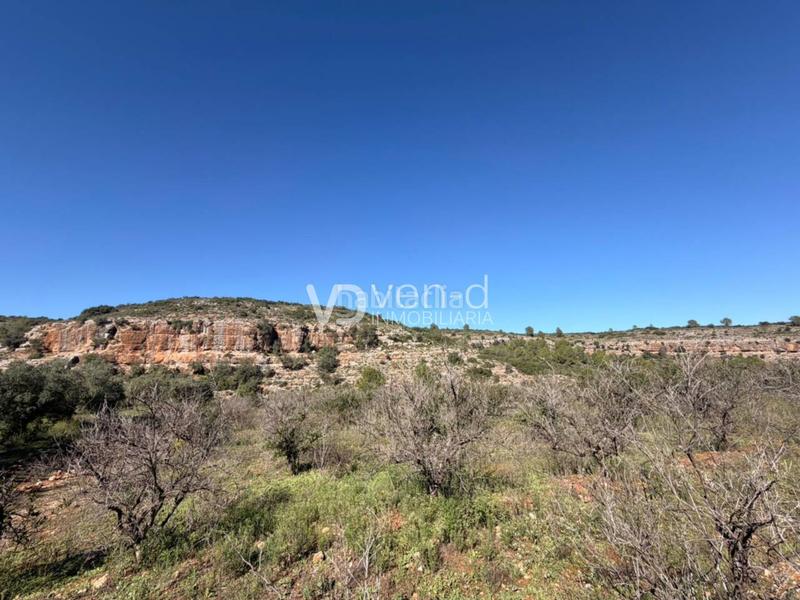 Foto 8af5f3de-c03a-4d2e-9d5b-9e21b4db4044. Finca rústica en 11 4 parcela a 2 km en Enguera