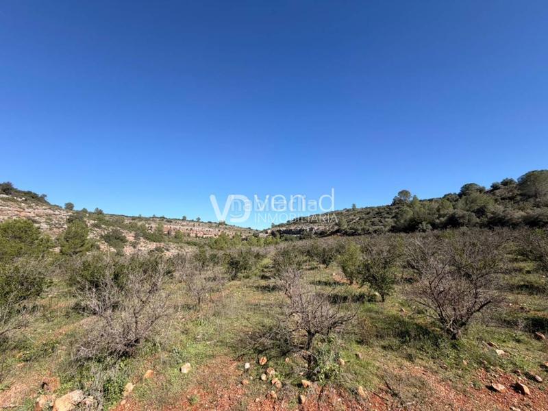 Foto 94c635c4-f1de-4545-af52-1ae4f6ebef1a. Finca rústica en 11 4 parcela a 2 km en Enguera