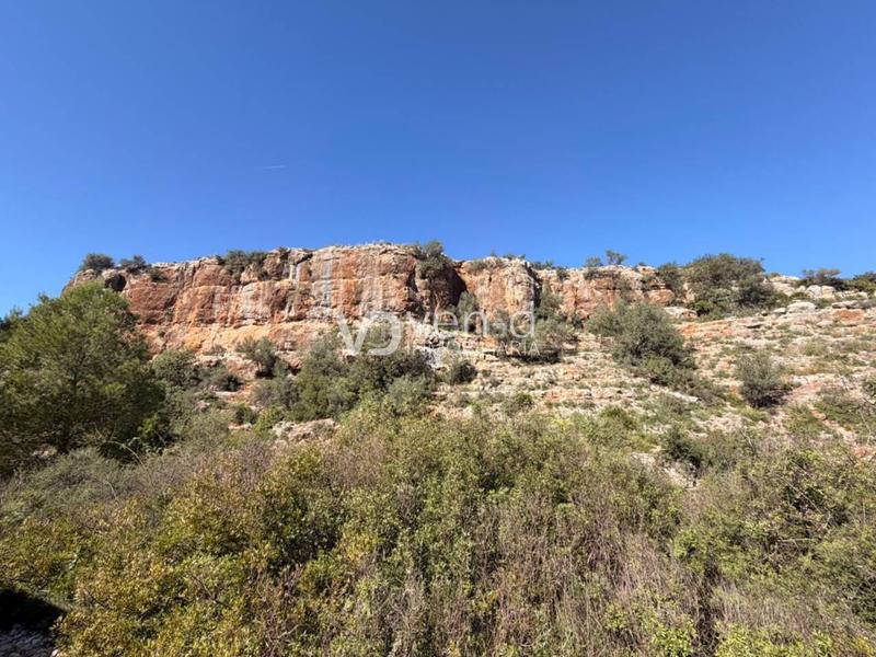 Foto b423bf9a-cc66-46f9-a3ce-01474474f942. Finca rústica en 11 4 parcela a 2 km en Enguera