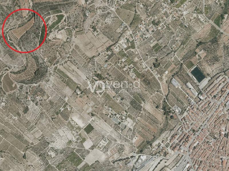 Foto dc4bc7d8-bce5-4538-a568-95718a4056dd. Finca rústica en 11 4 parcela a 2 km en Enguera