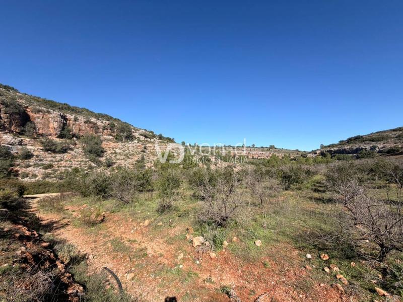 Foto f6fca742-119c-4d4e-aa23-d5725a60d57e. Finca rústica en 11 4 parcela a 2 km en Enguera