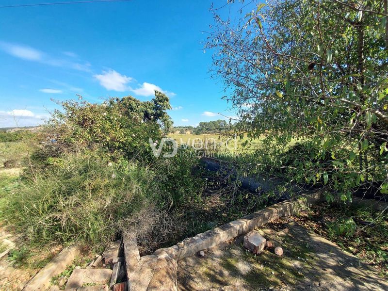 Foto 042f9995-6523-422e-b7a3-3870796dd3a9. Finca rústica a poligono 5 543-542 a Anna