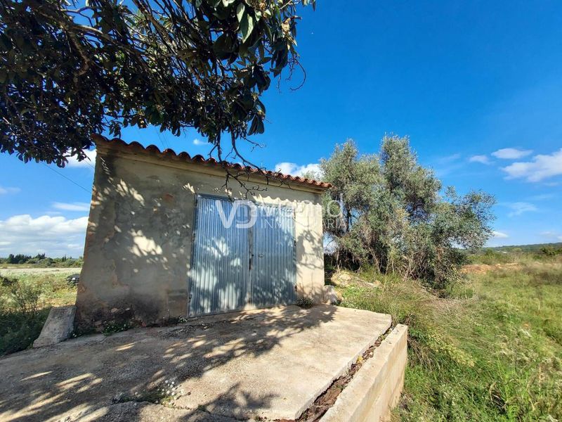 Foto 41a59c8a-0c40-46c5-8246-b1e6ce743ba0. Finca rústica a poligono 5 543-542 a Anna