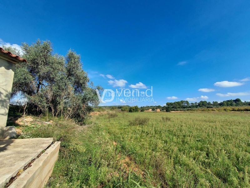 Foto 5b30e2df-3b10-4103-b57a-1563bc13ff21. Finca rústica a poligono 5 543-542 a Anna