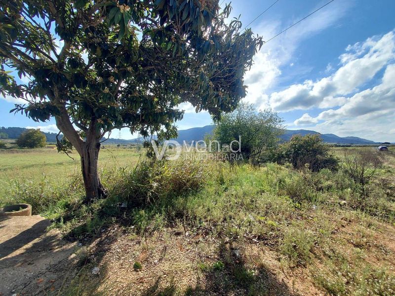 Foto 8d1c1a81-830a-49c7-a64d-b4ed9e5d549e. Finca rústica a poligono 5 543-542 a Anna
