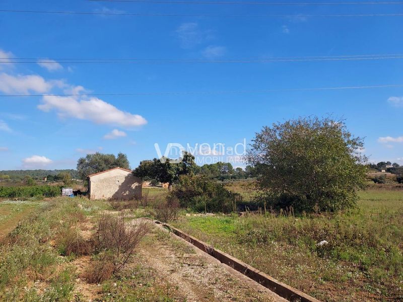 Foto c47a1d12-8d4c-45ca-bc10-6e00b089bbf7. Finca rústica a poligono 5 543-542 a Anna