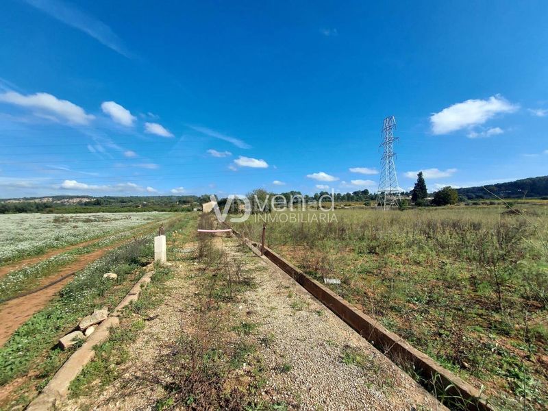 Foto e758f296-fabc-4b1f-8466-59ea796f039d. Finca rústica a poligono 5 543-542 a Anna