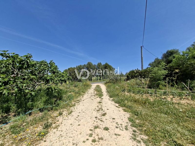 Foto f16f47b1-0477-4bc3-9c24-c3cb6e2e2c9c. Masia a poligono 7 107 a Enguera