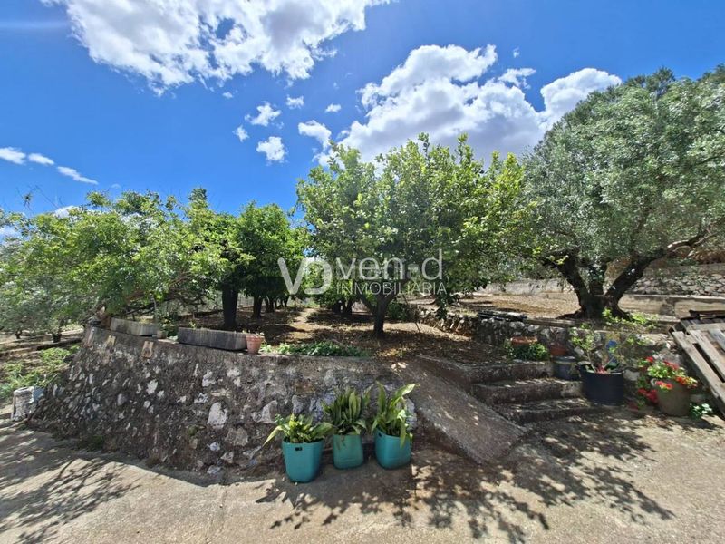 Foto 9a28716d-ab72-46e6-bc7b-d1b521459ae3. Casa a poligono 7 64 a Enguera