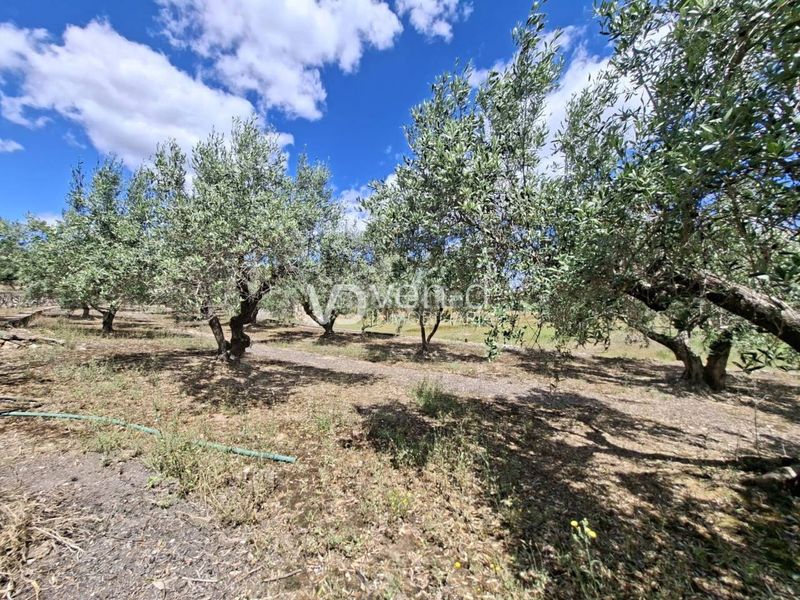 Foto c0b7a47c-c29f-4314-a74d-5d323d471d00. Casa a poligono 7 64 a Enguera
