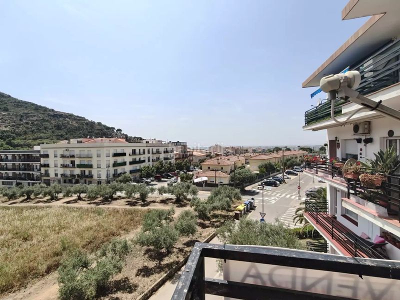 Foto 46bb3ed4-1676-4742-9ca1-60e967f34cd4. Pis a Els Grecs-Mas Oliva Roses