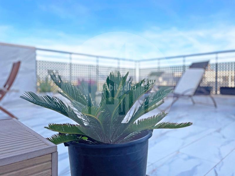 Foto db12907d-dd16-4639-8c45-ef62b5bd43ee. Àtic amb calefacció aparcament piscina a Canet d´en Berenguer