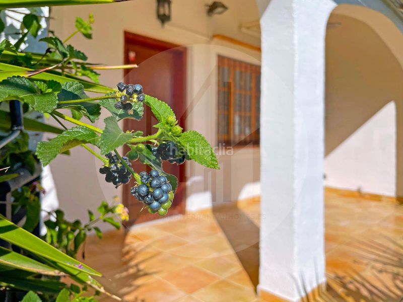 Foto 3b4954d1-d17c-4416-adc4-6ea32ee5cf6b. Semi detached house with parking in Alcossebre