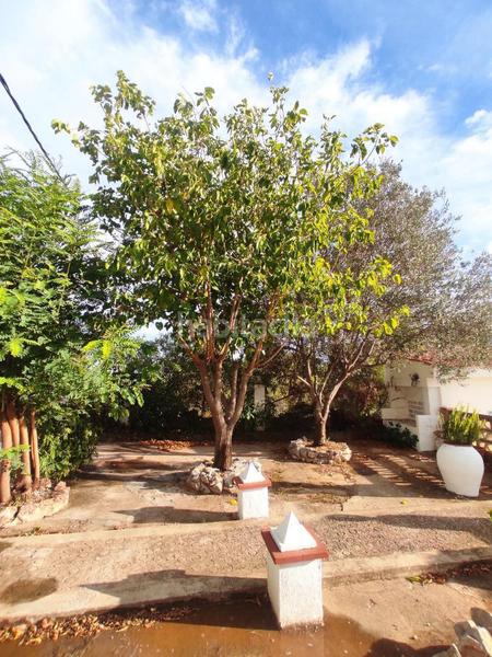 Foto e4c97ea7-6bf8-4de3-bcbb-54fb5313c3c8. Casa .oportunidad exclusiva.increíble chalet en venta situado en la zona del barranco de logrois, en nuestra señora de la asunción, a o en Montaverner
