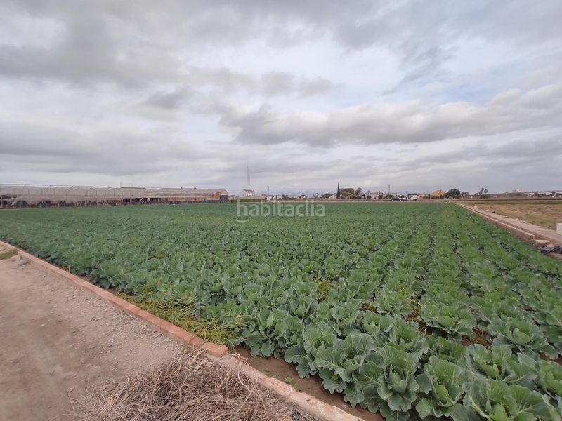 Foto 53e1a784-9955-4e30-9e1d-e5a295b7262e. Finca rústica a Saboya Alboraya