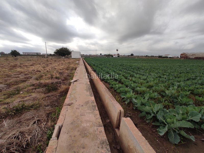 Foto 61e5f879-01fc-46a3-8b9a-a3b958a823be. Finca rústica a Saboya Alboraya